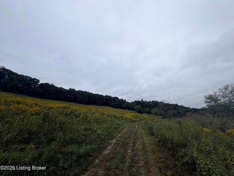 Tiny photo for 0 Hwy 355, Worthville, KY 41098 (MLS # 1729799)