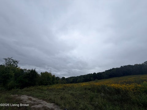 Tiny photo for 0 Hwy 355, Worthville, KY 41098 (MLS # 1729799)