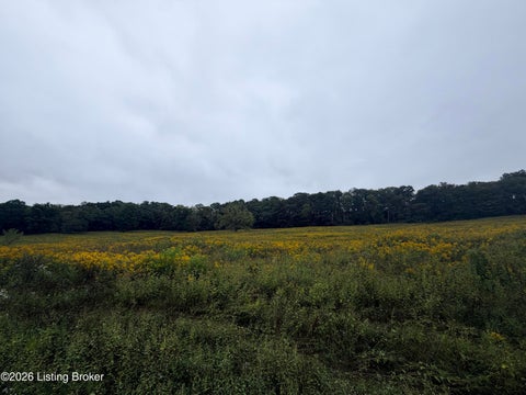 Tiny photo for 0 Hwy 355, Worthville, KY 41098 (MLS # 1729799)