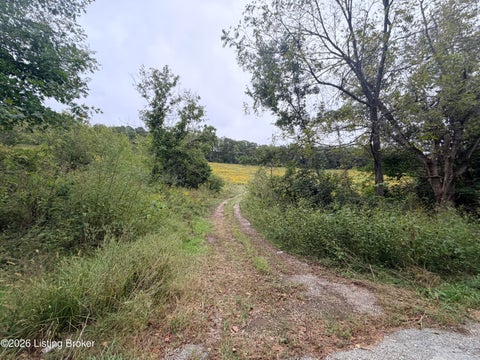 Tiny photo for 0 Hwy 355, Worthville, KY 41098 (MLS # 1729799)
