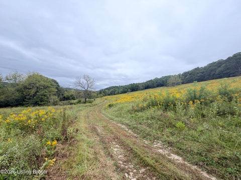 Photo of 0 Hwy 355, Worthville, KY 41098 (MLS # 1729799)