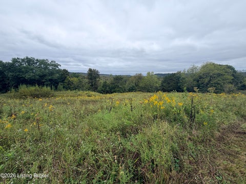 Tiny photo for 0 Hwy 355, Worthville, KY 41098 (MLS # 1729799)