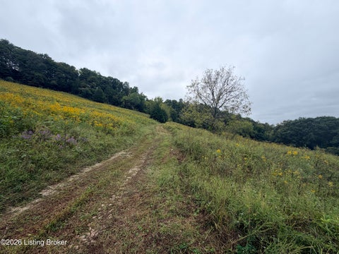 Tiny photo for 0 Hwy 355, Worthville, KY 41098 (MLS # 1729799)