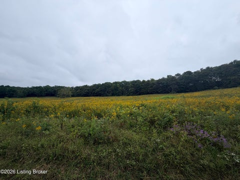 Tiny photo for 0 Hwy 355, Worthville, KY 41098 (MLS # 1729799)
