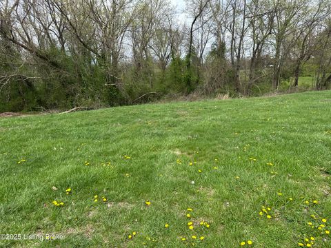 Vacant Land For Sale - 914 Woods Run Rd<br/> Nelson County, Bardstown, KY 40004