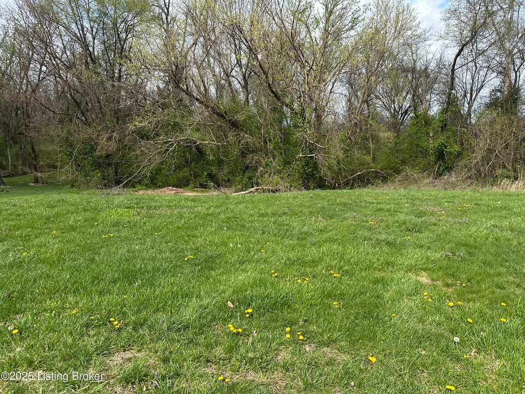 Photo of 914 Woods Run Rd, Bardstown, KY 40004 (MLS # 1710605)