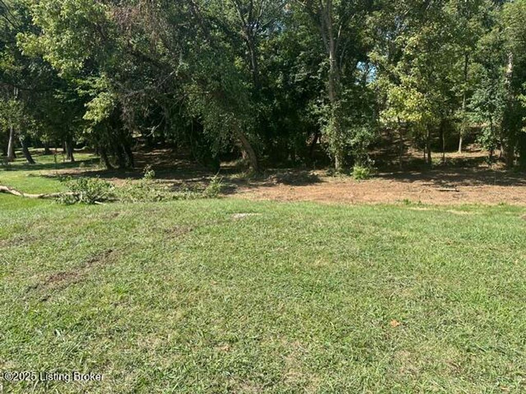 Photo of 914 Woods Run Rd, Bardstown, KY 40004 (MLS # 1710605)