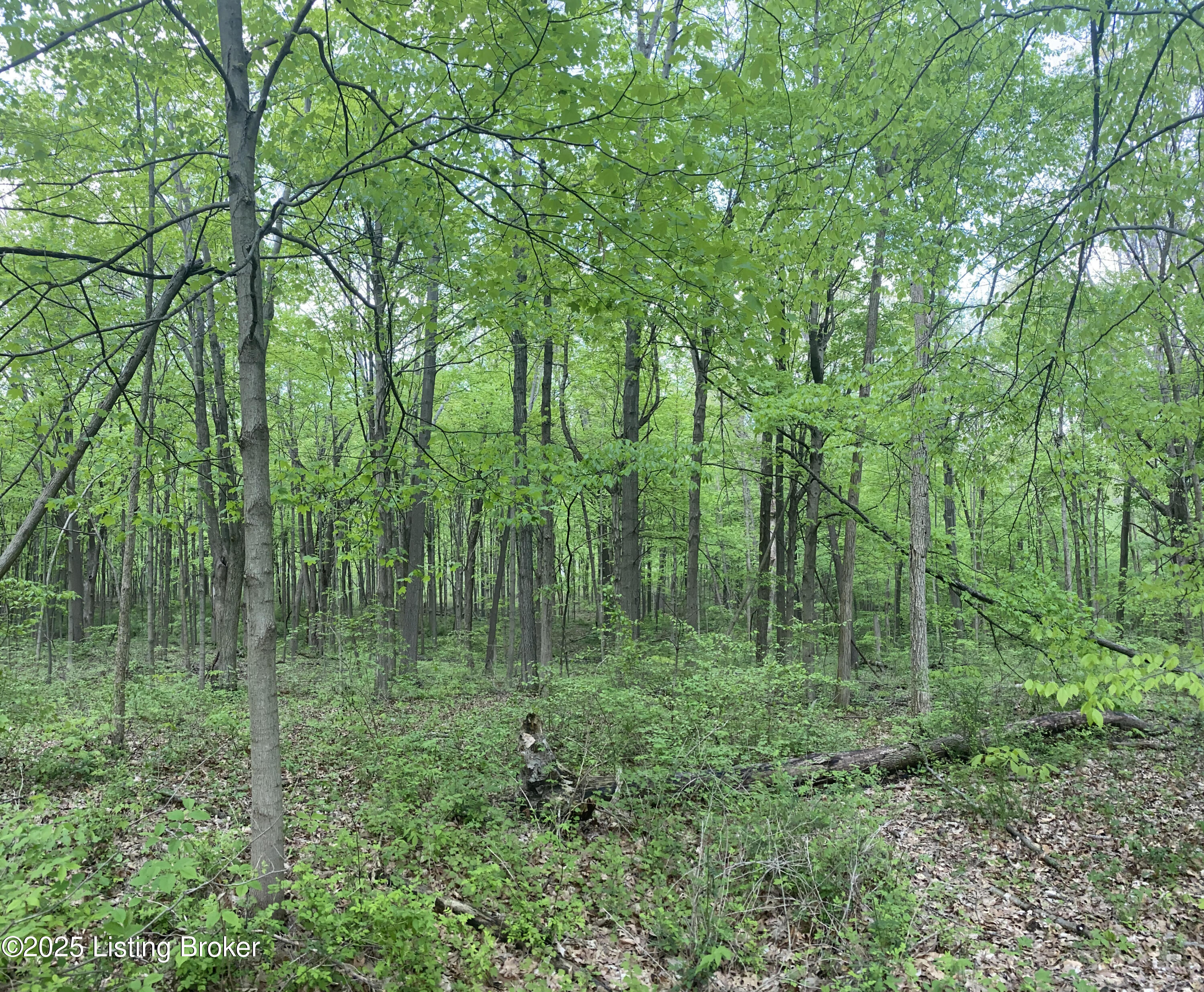 765 Mountain View Estates Rd, Elizabethtown, Kentucky image 3