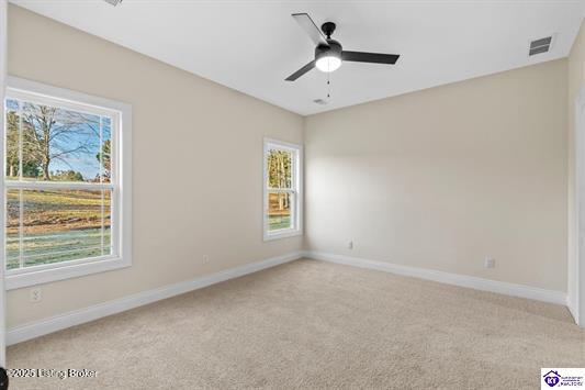 293 Piping Rock Rd Rd, Brandenburg, Kentucky image 32