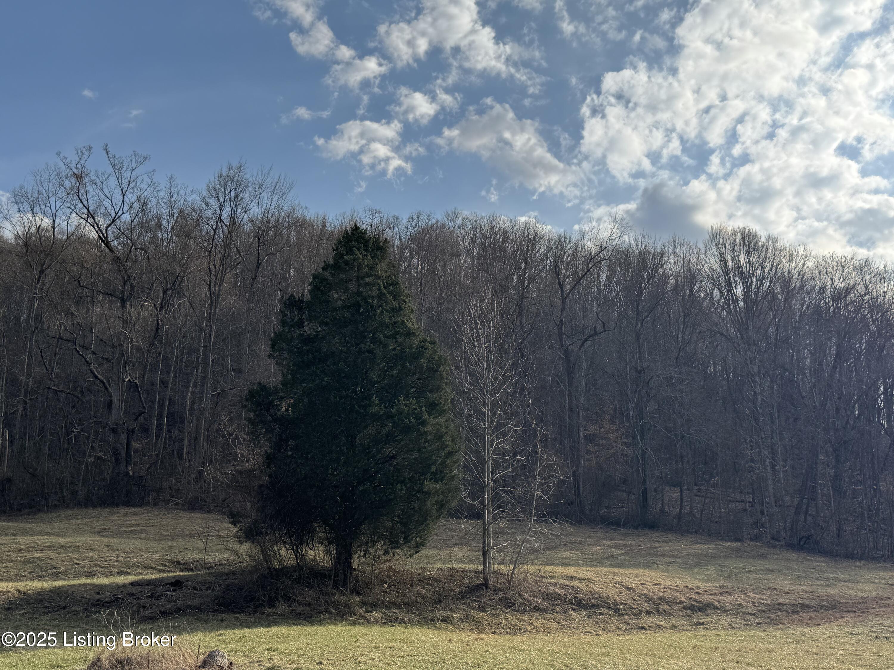 1901 Rawlings Rd Rd, Hillsboro, Kentucky image 14
