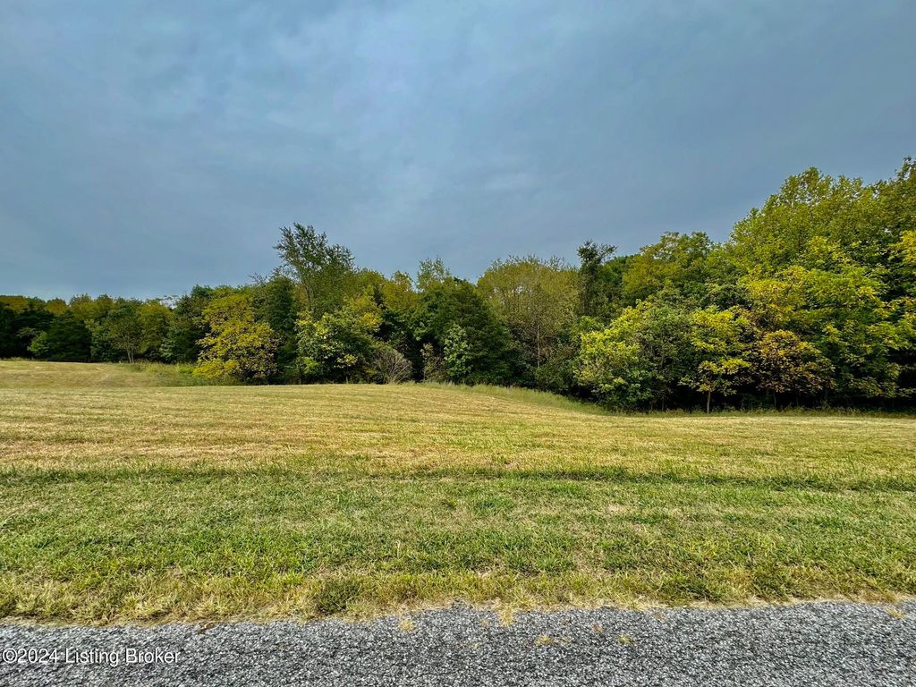 Photo of 3 Hillsboro Ln, Springfield, KY 40069 (MLS # 1712221)