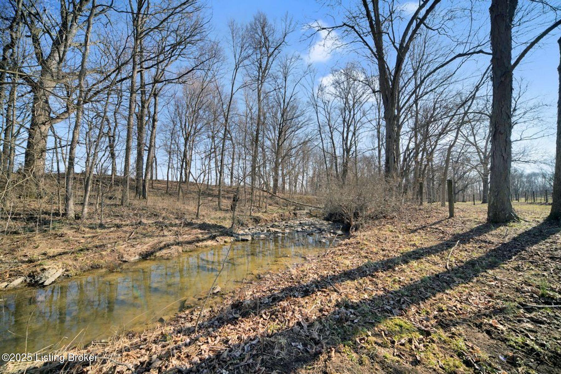 1745 Clore Jackson Rd, Shelbyville, Kentucky image 34