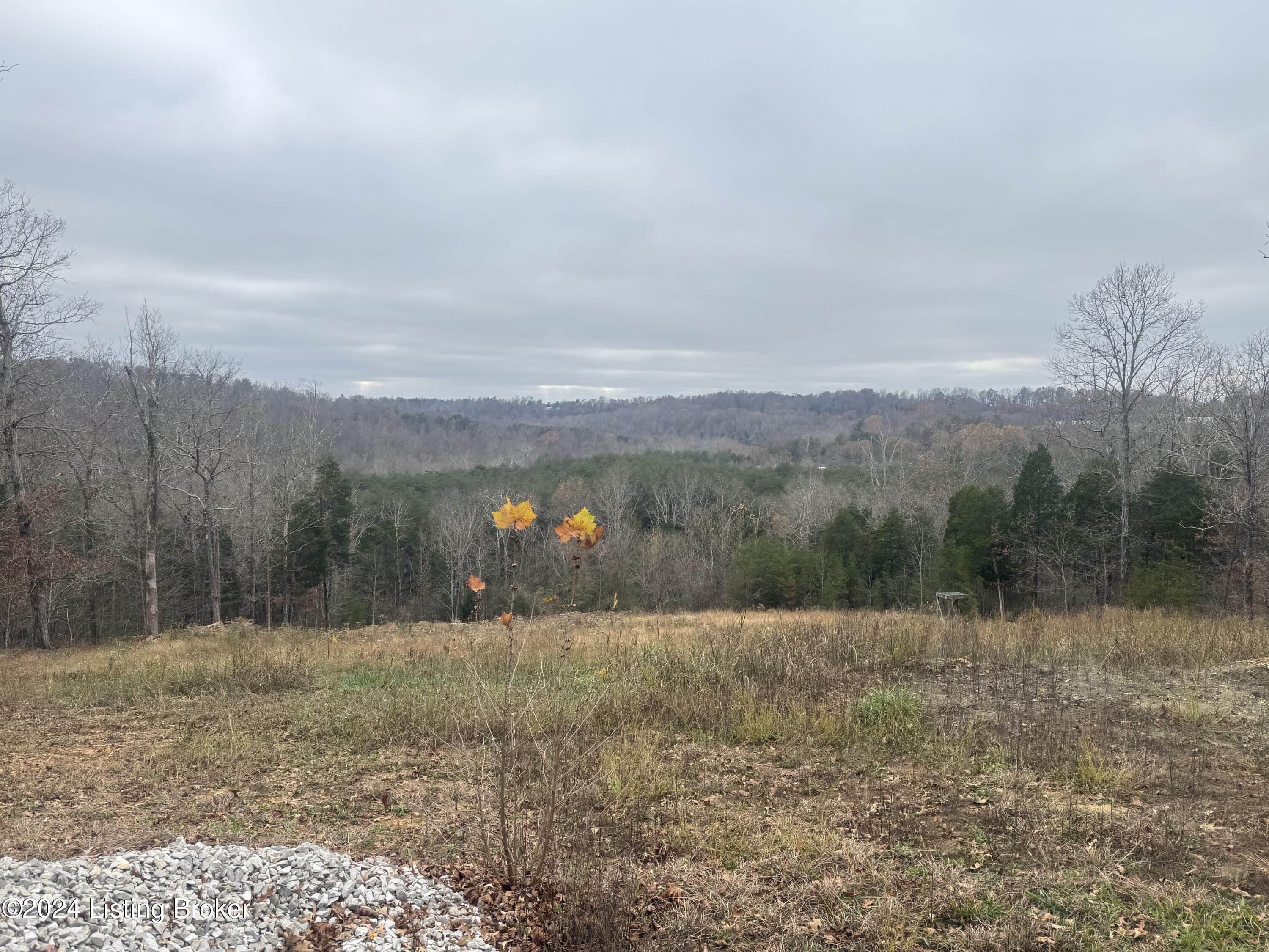 1945  1895 Broad Ford Rd, Munfordville, Kentucky image 1