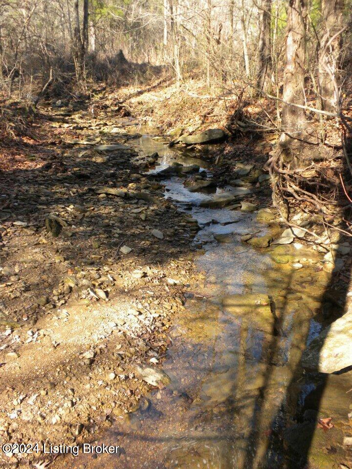 Benleo Rd, Bowling Green, Kentucky image 9