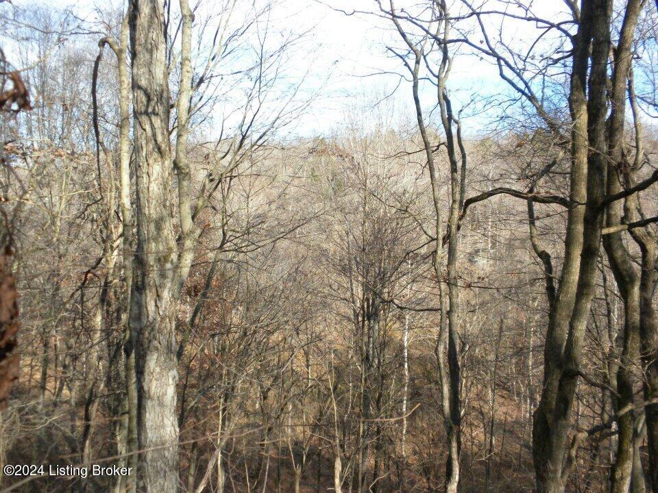 Benleo Rd, Bowling Green, Kentucky image 20