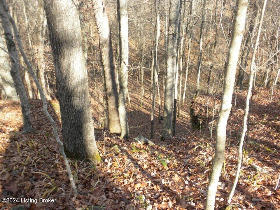 Benleo Rd, Bowling Green, Kentucky image 18