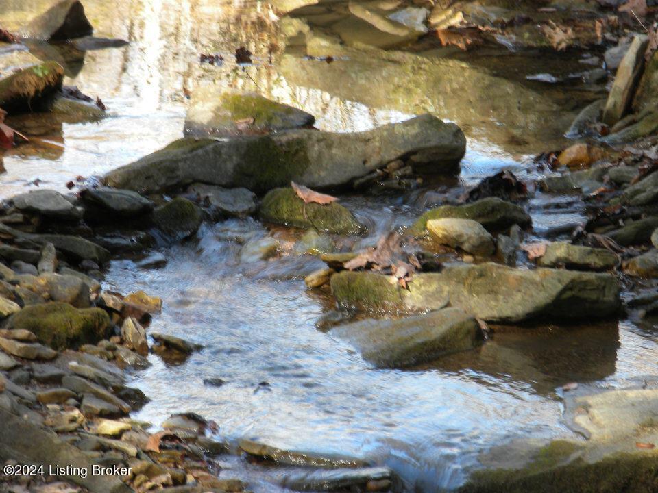 Benleo Rd, Bowling Green, Kentucky image 10