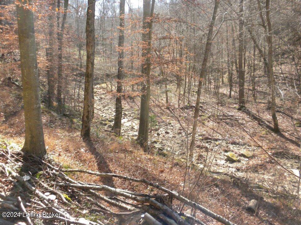 Benleo Rd, Bowling Green, Kentucky image 16