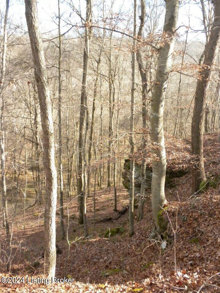 Benleo Rd, Bowling Green, Kentucky image 19