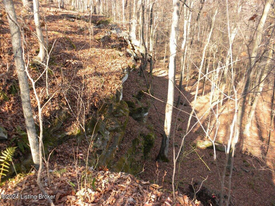 Benleo Rd, Bowling Green, Kentucky image 1