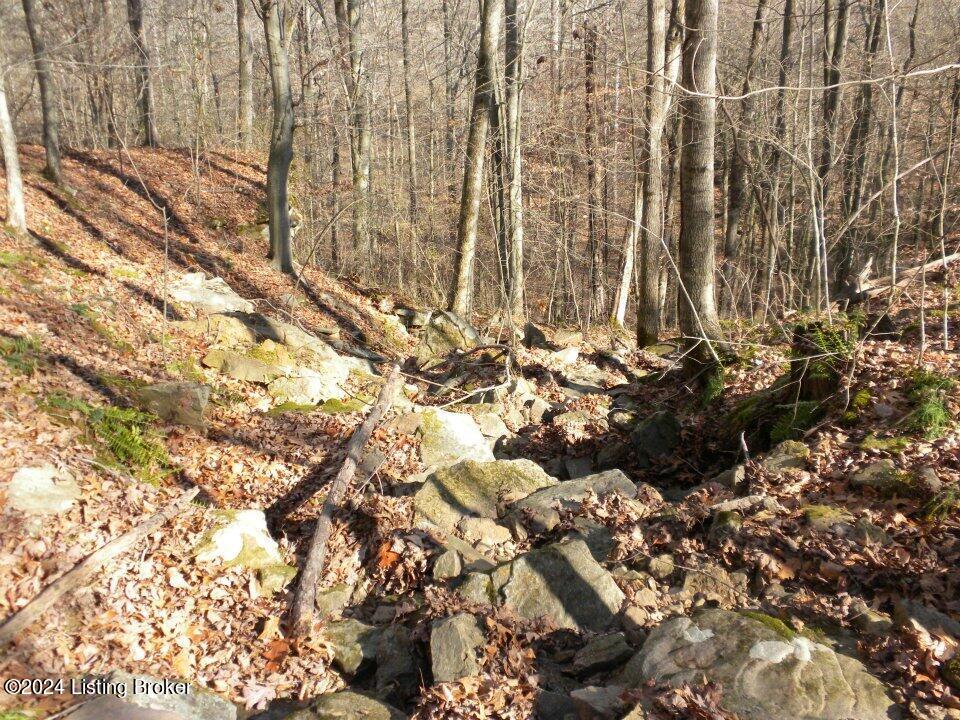 Benleo Rd, Bowling Green, Kentucky image 4
