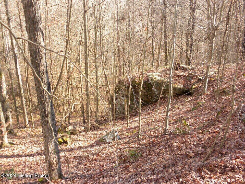 Benleo Rd, Bowling Green, Kentucky image 5