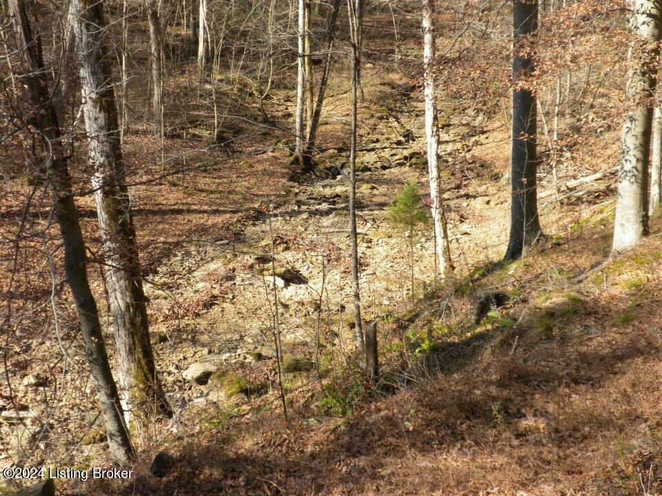 Benleo Rd, Bowling Green, Kentucky image 17