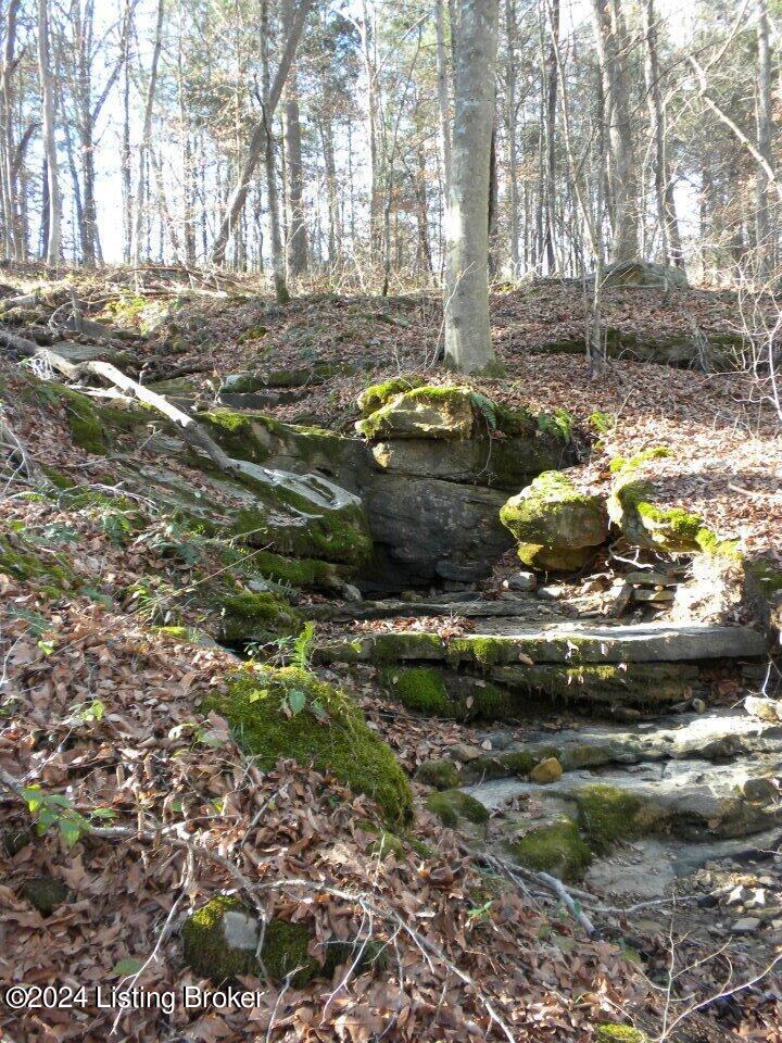 Benleo Rd, Bowling Green, Kentucky image 6