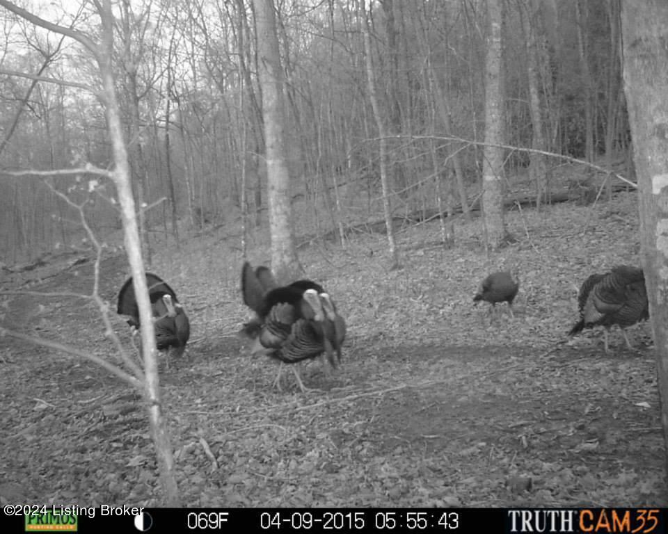 Benleo Rd, Bowling Green, Kentucky image 22