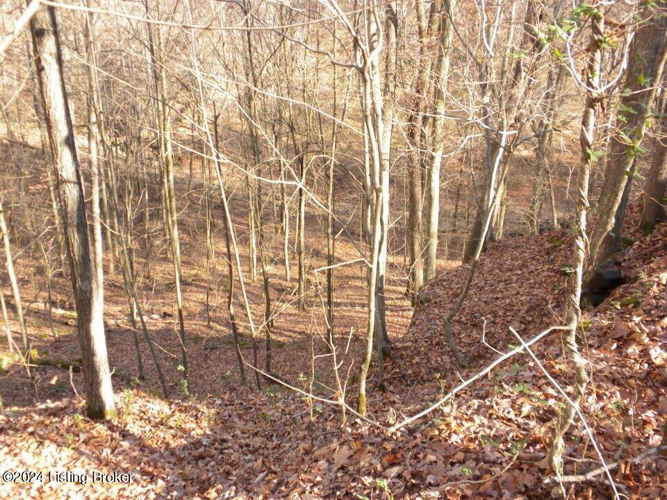 Benleo Rd, Bowling Green, Kentucky image 3