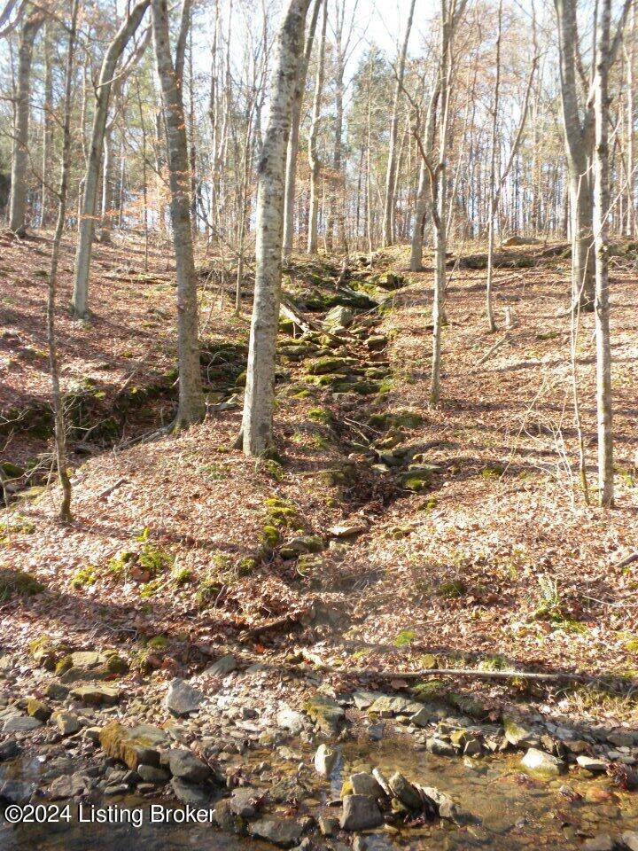 Benleo Rd, Bowling Green, Kentucky image 13
