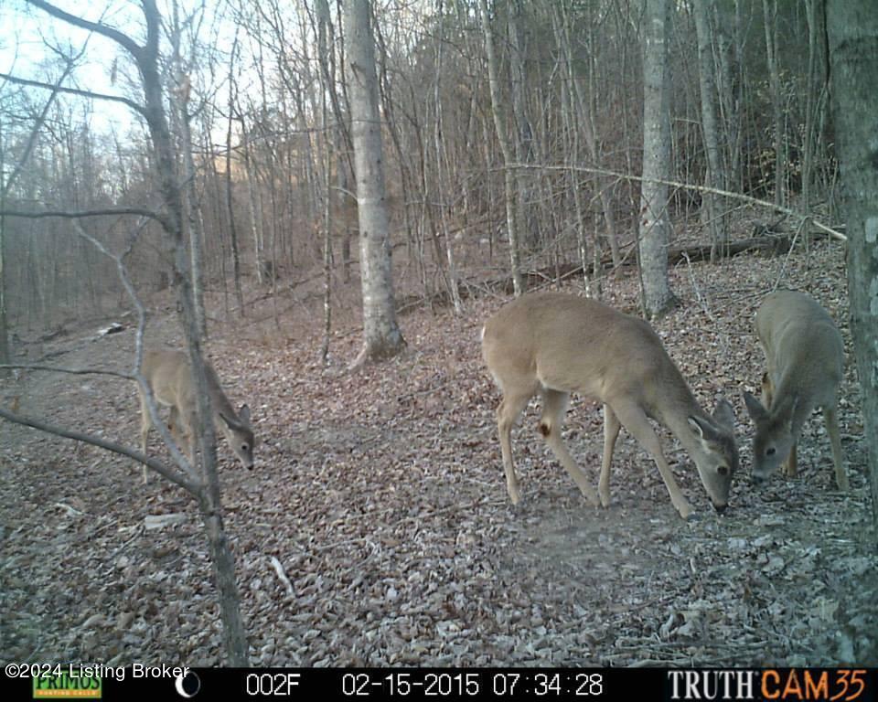 Benleo Rd, Bowling Green, Kentucky image 23