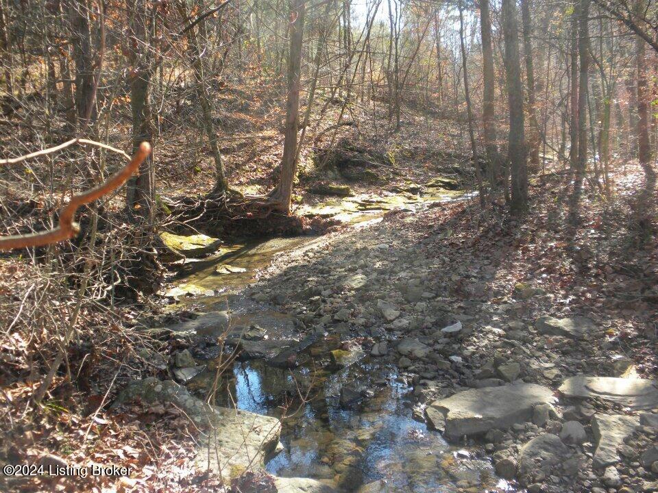 Benleo Rd, Bowling Green, Kentucky image 8