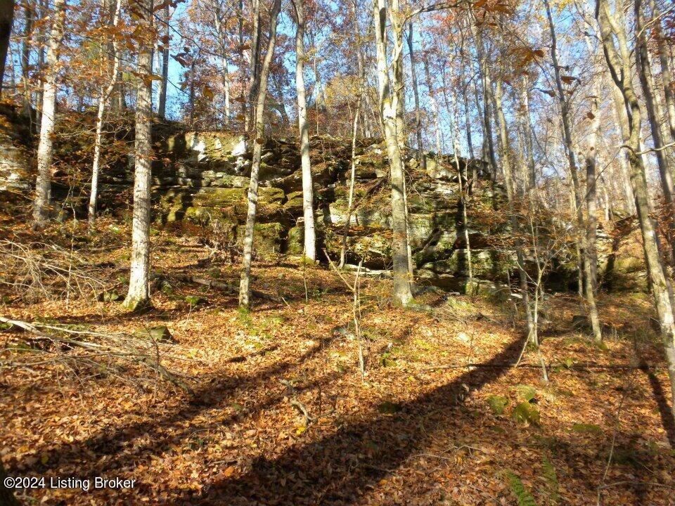 Benleo Rd, Bowling Green, Kentucky image 12