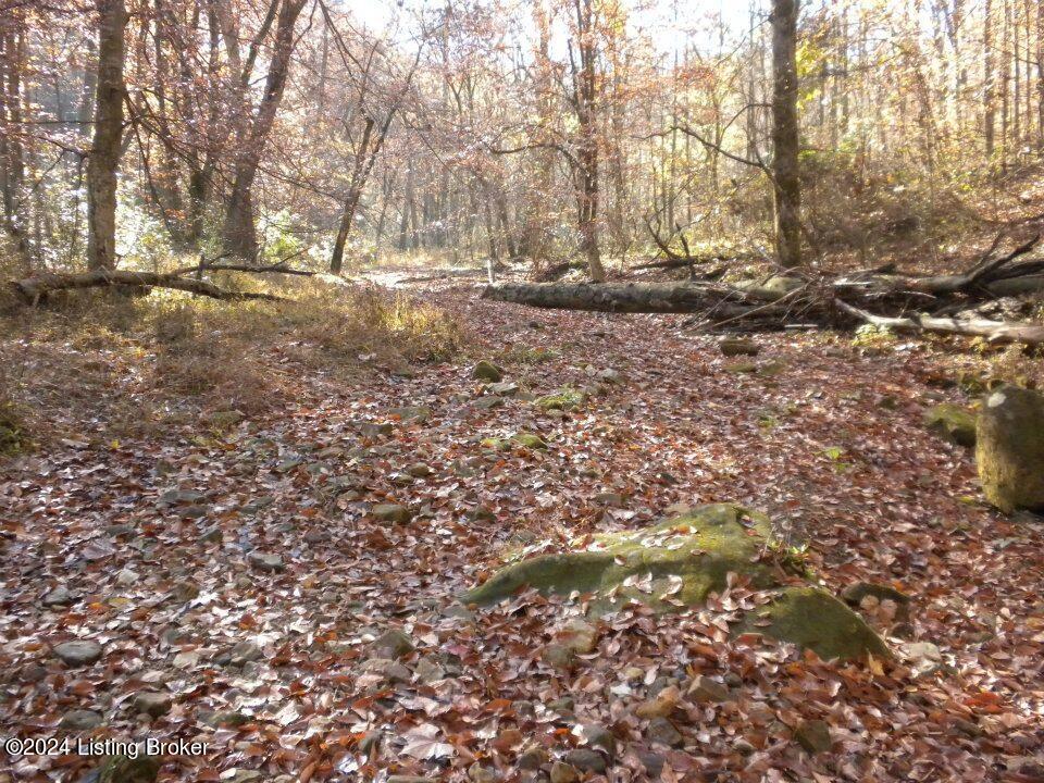Benleo Rd, Bowling Green, Kentucky image 14