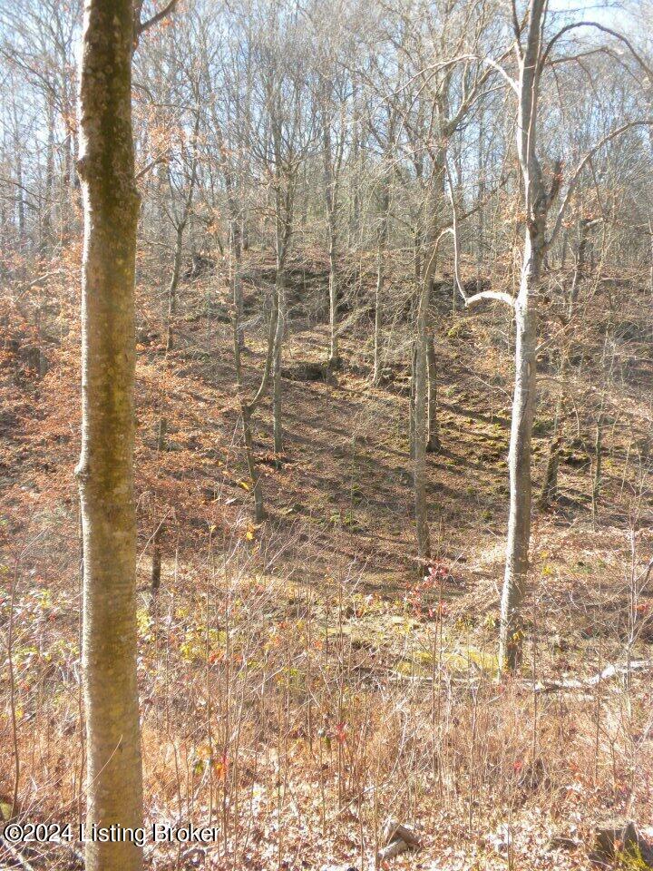 Benleo Rd, Bowling Green, Kentucky image 15