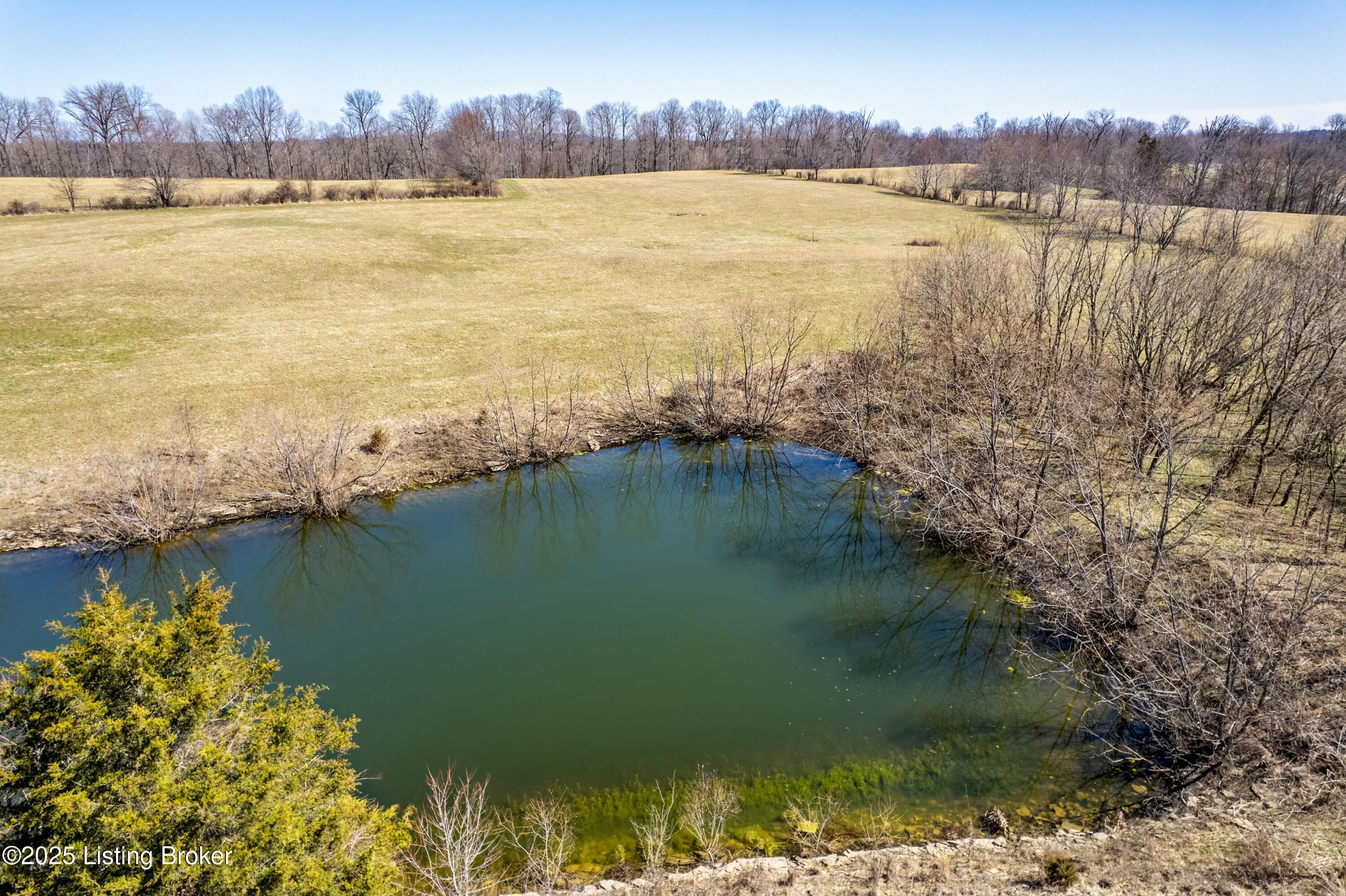 6 Mt Eden, Shelbyville, Kentucky image 6
