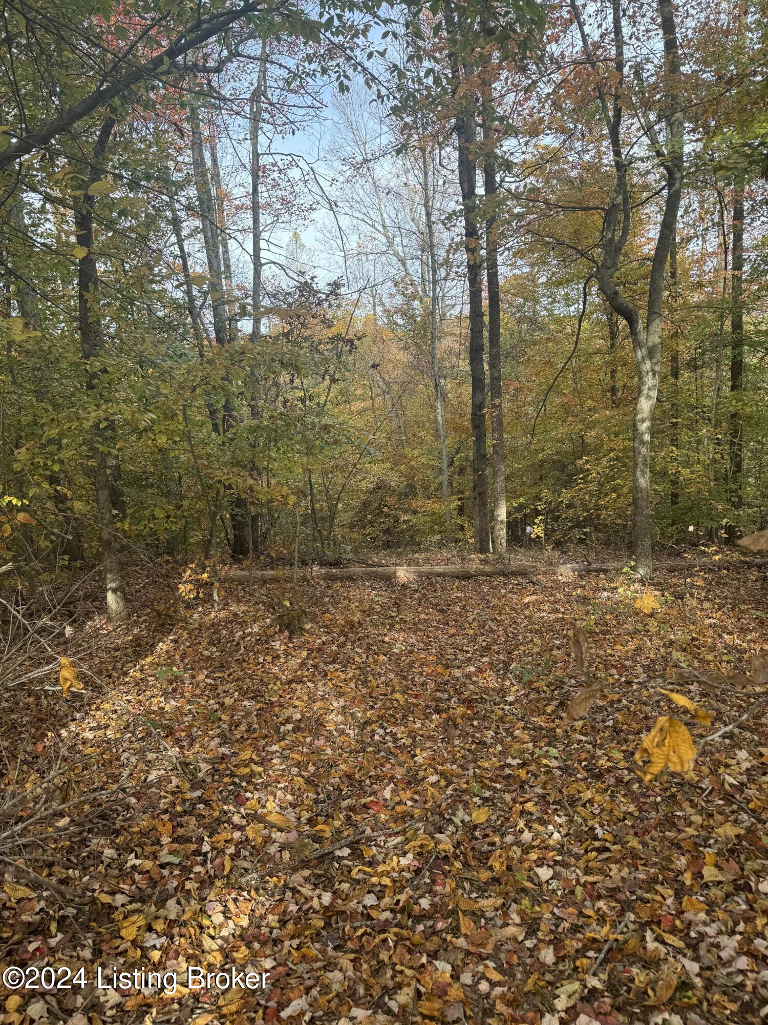 Ditney Ridge Rd, Morehead, Kentucky image 17