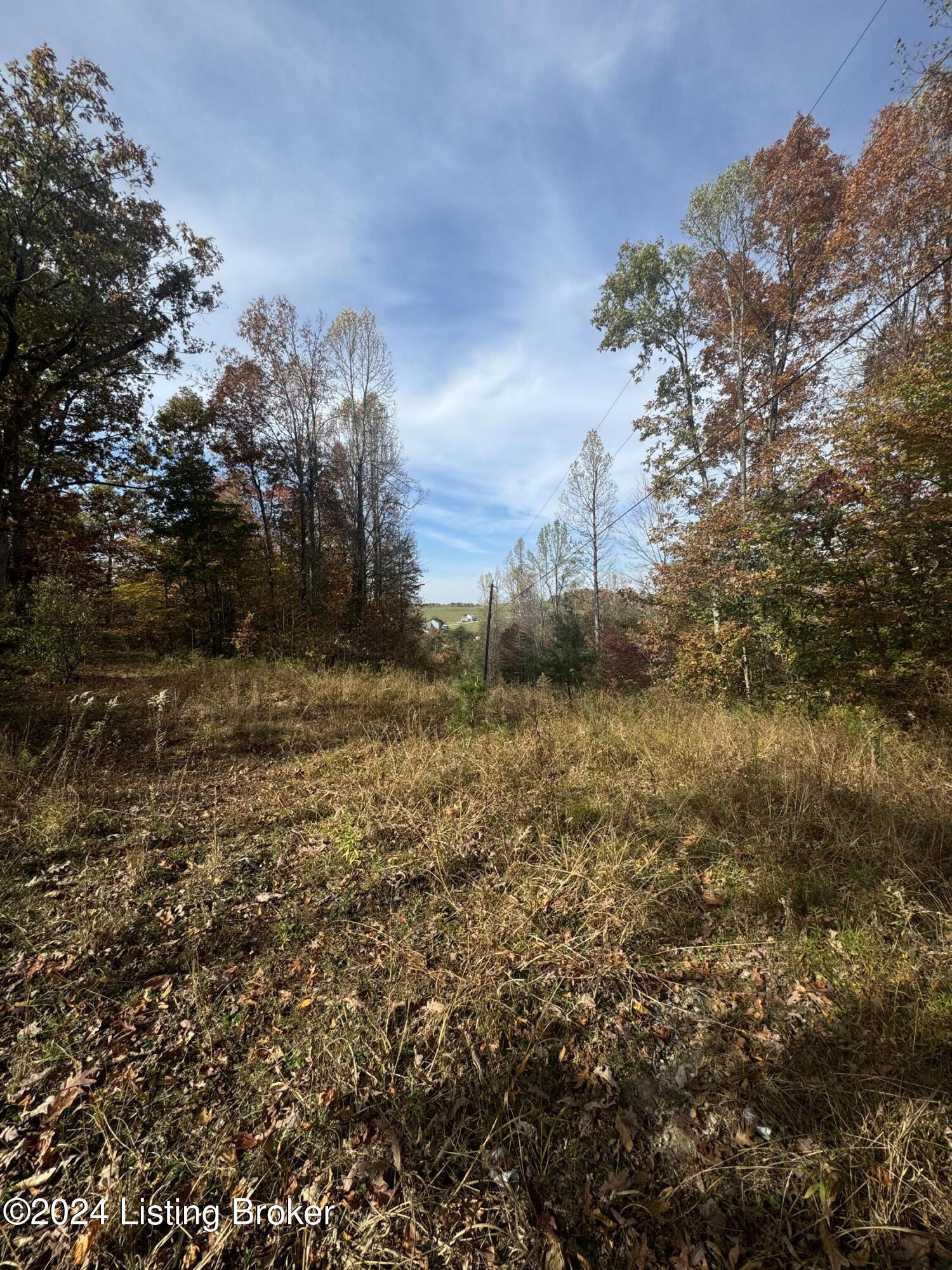 Ditney Ridge Rd, Morehead, Kentucky image 12