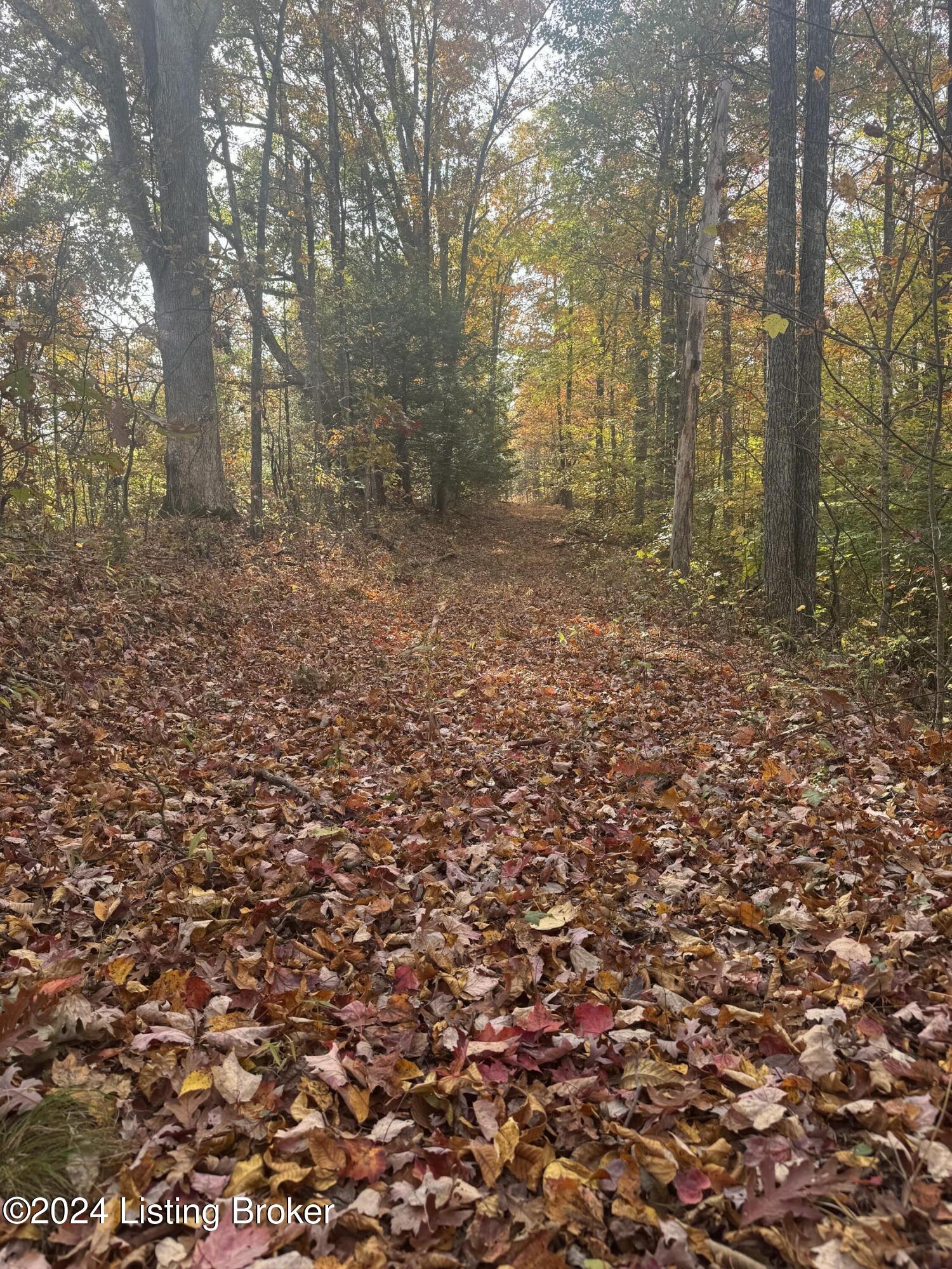 Ditney Ridge Rd, Morehead, Kentucky image 28