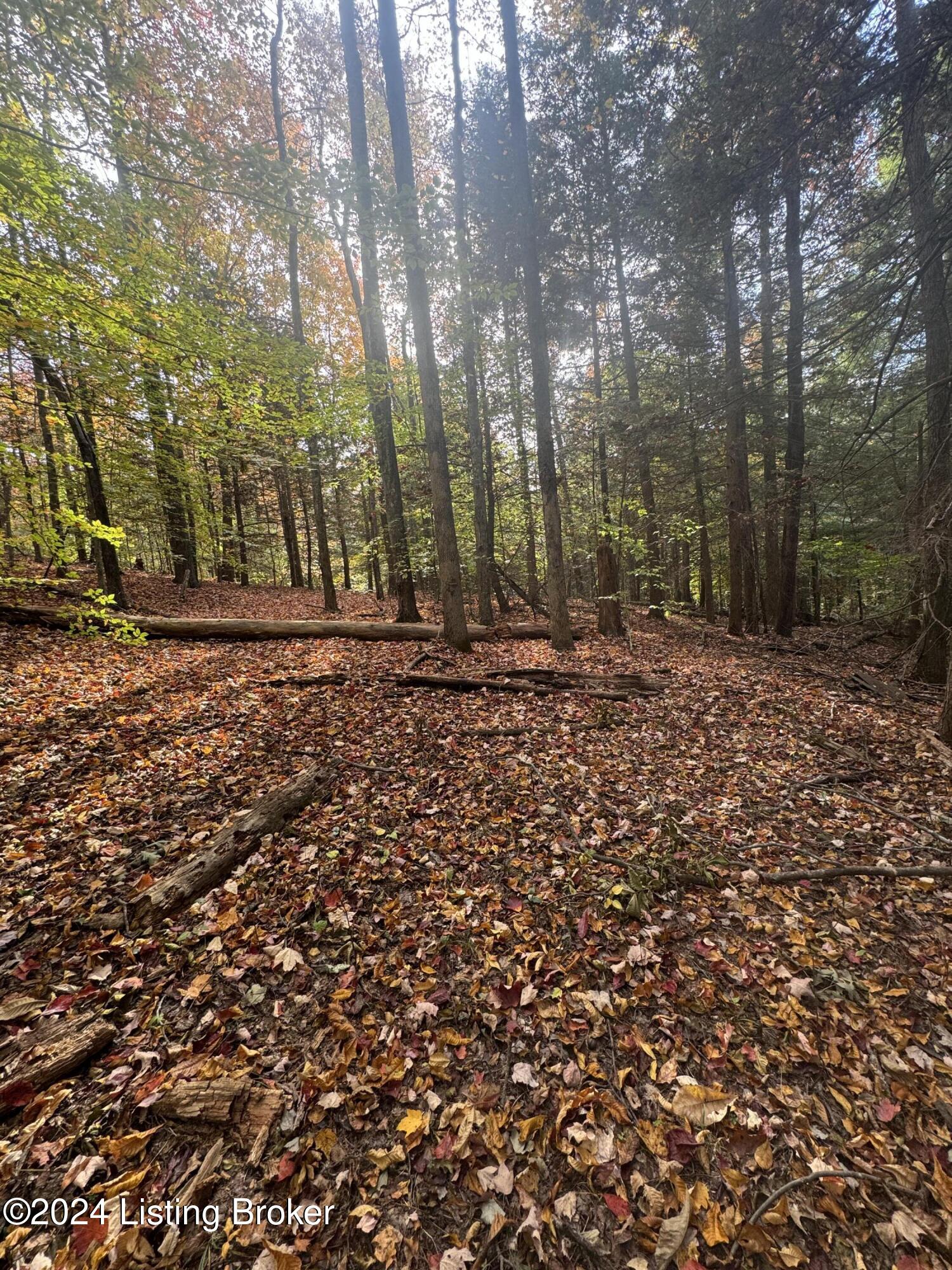 Ditney Ridge Rd, Morehead, Kentucky image 39