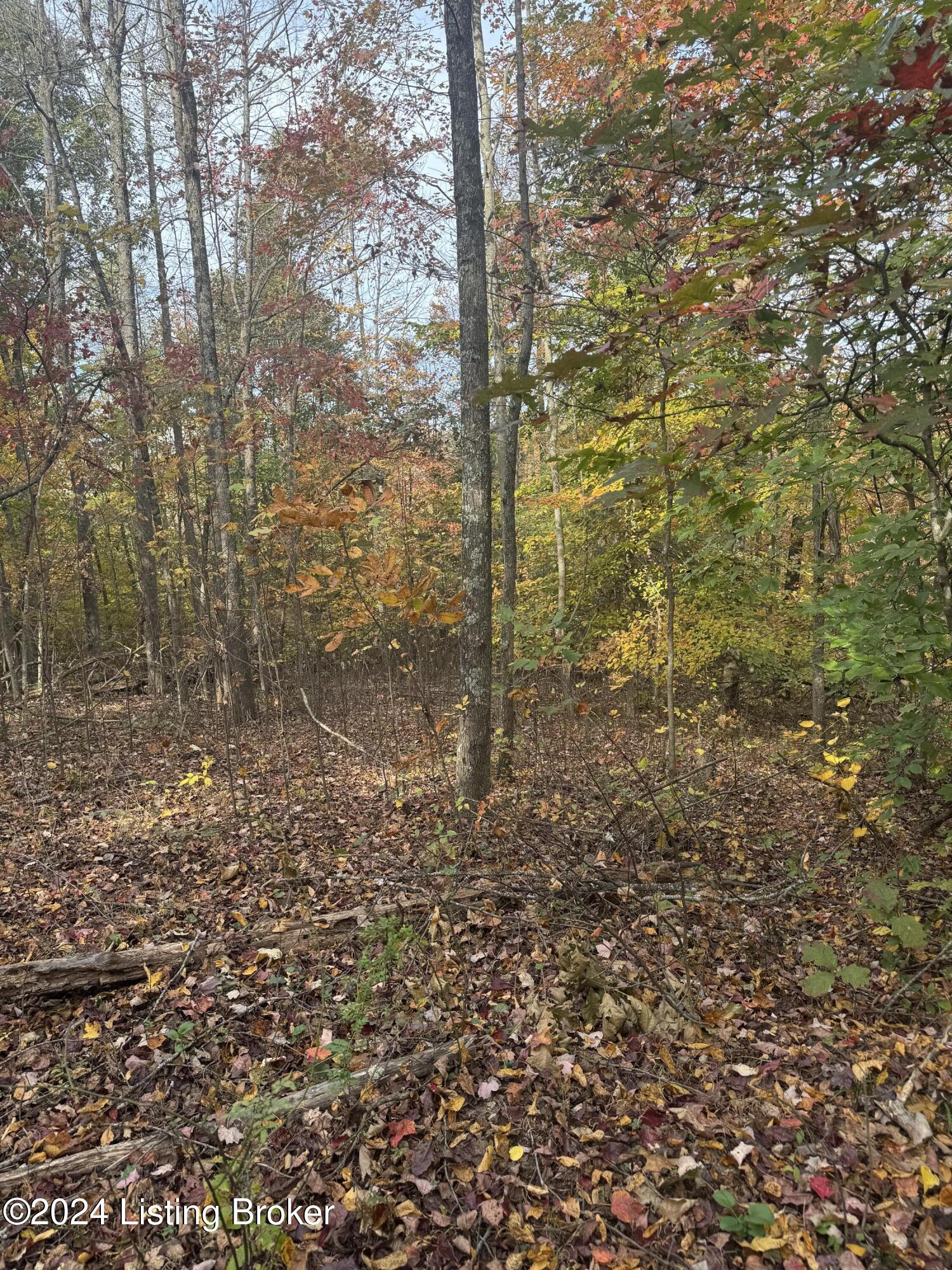 Ditney Ridge Rd, Morehead, Kentucky image 20