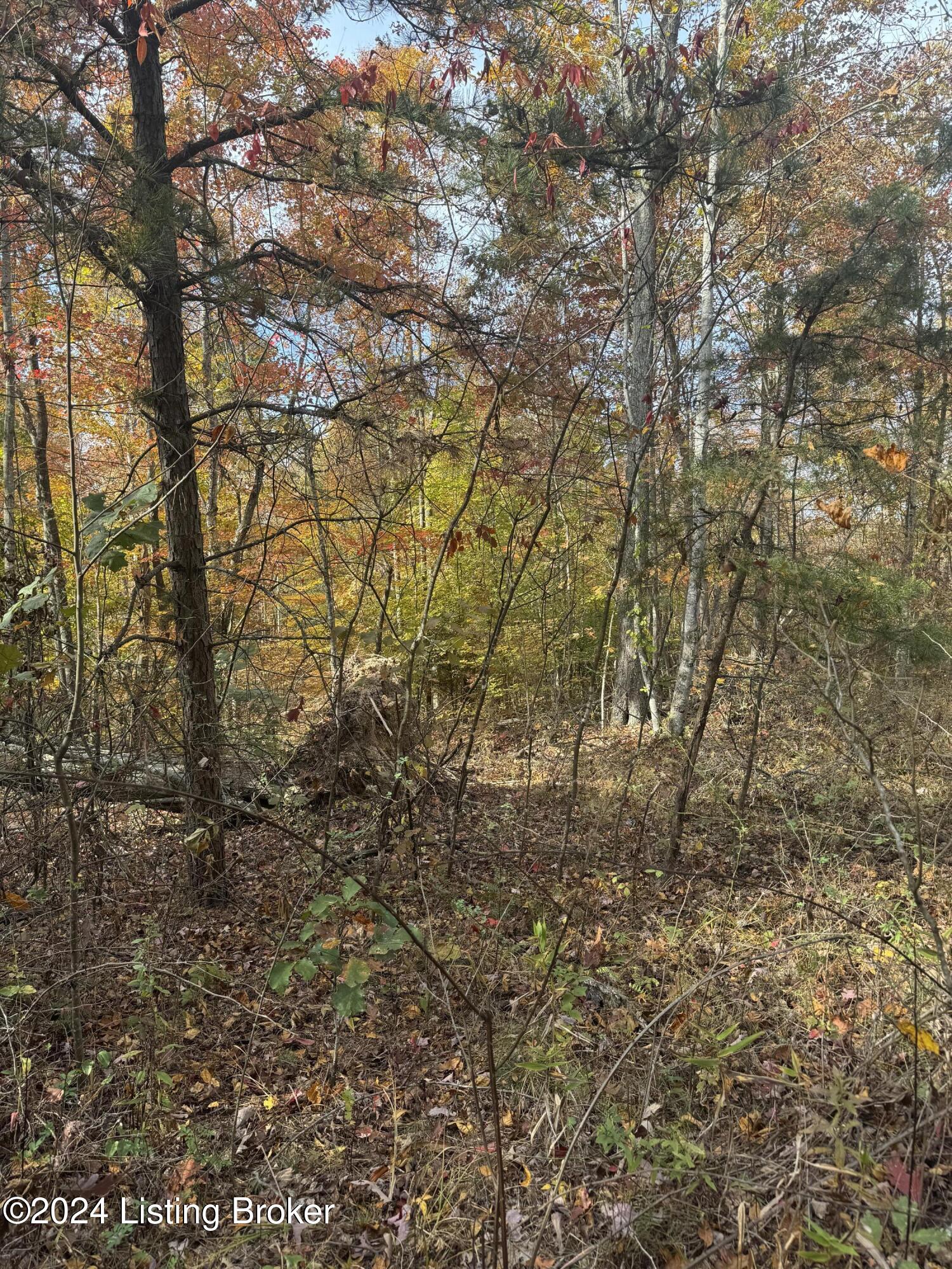 Ditney Ridge Rd, Morehead, Kentucky image 23