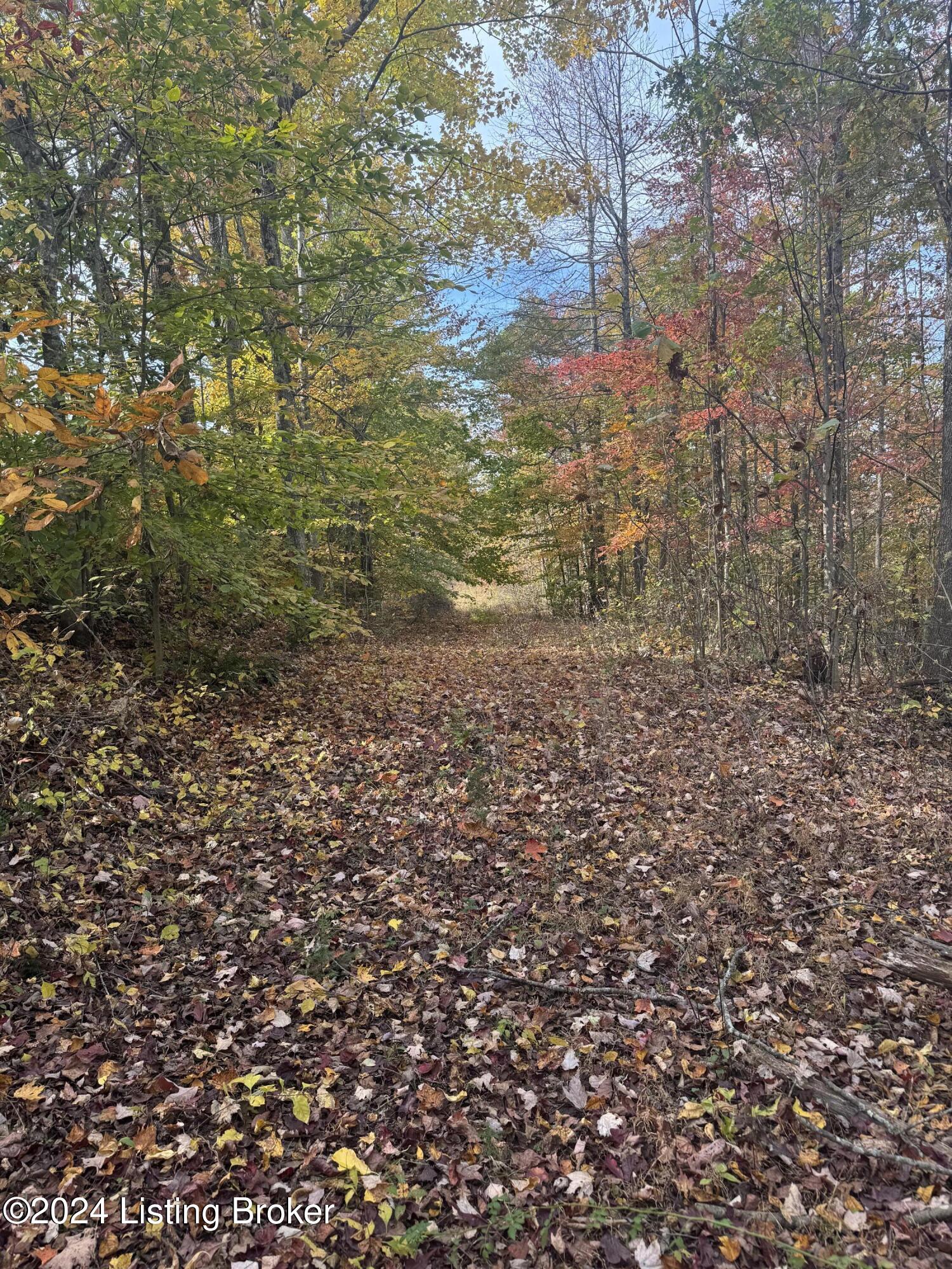 Ditney Ridge Rd, Morehead, Kentucky image 19