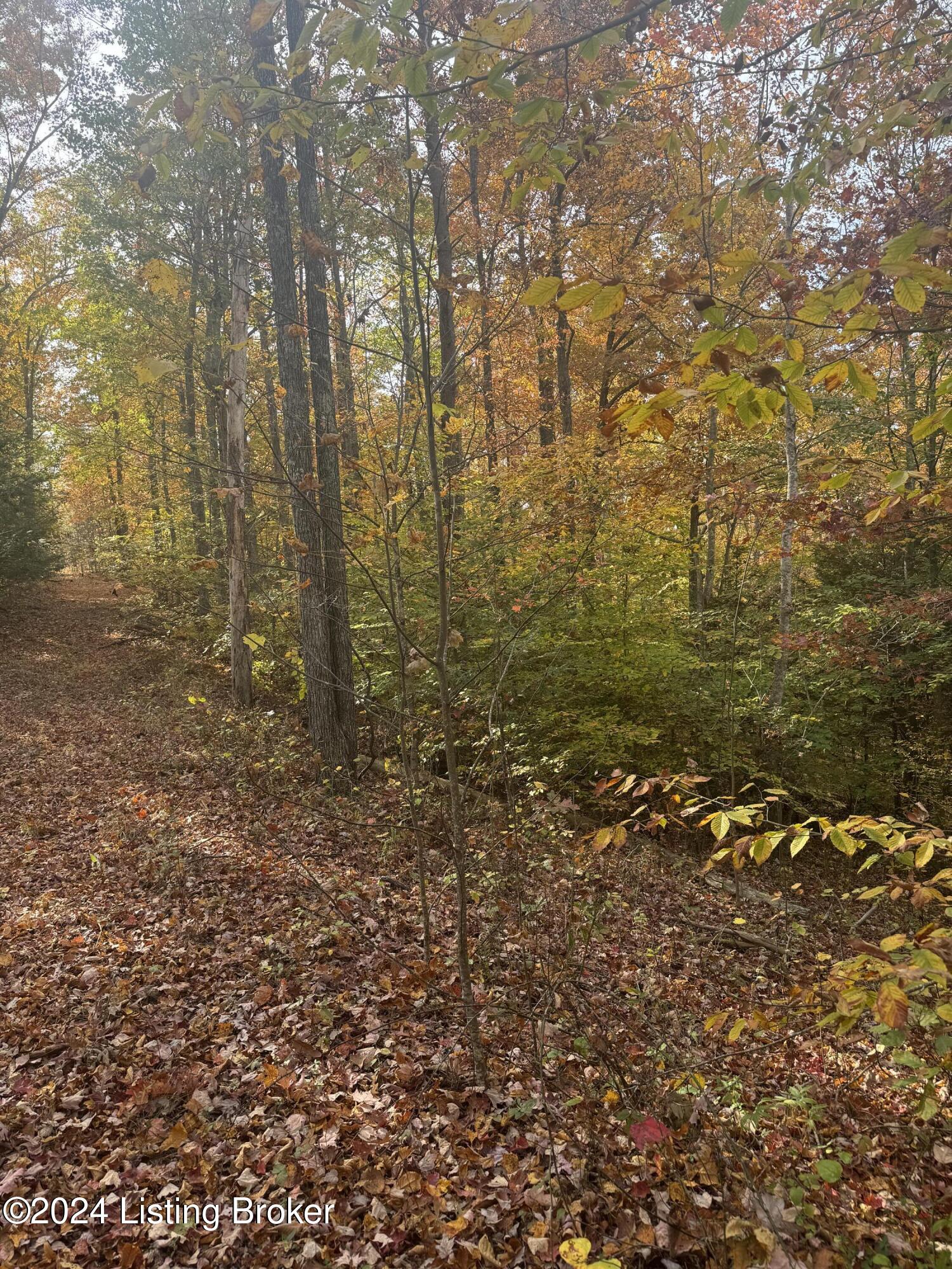 Ditney Ridge Rd, Morehead, Kentucky image 29