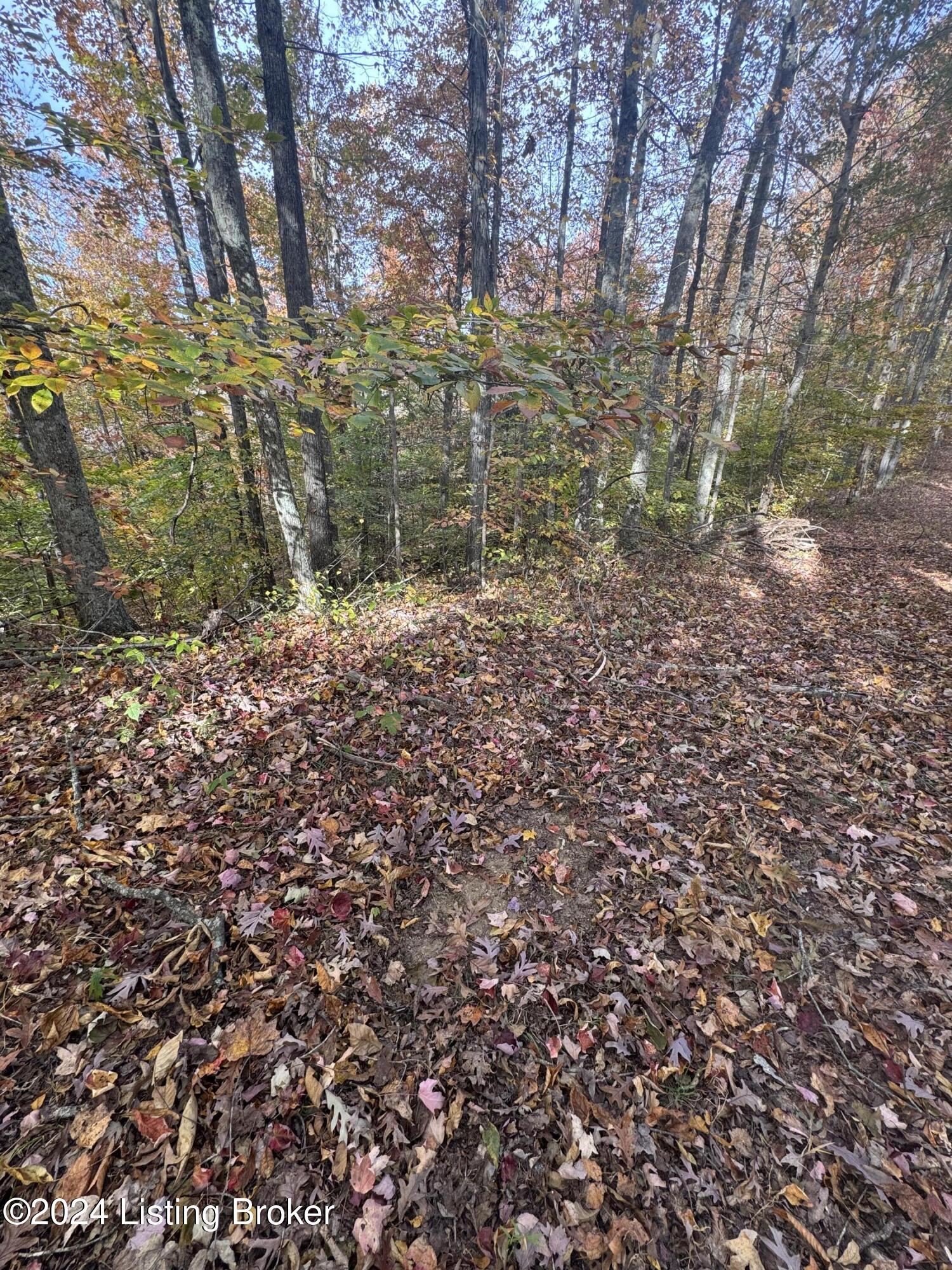 Ditney Ridge Rd, Morehead, Kentucky image 30