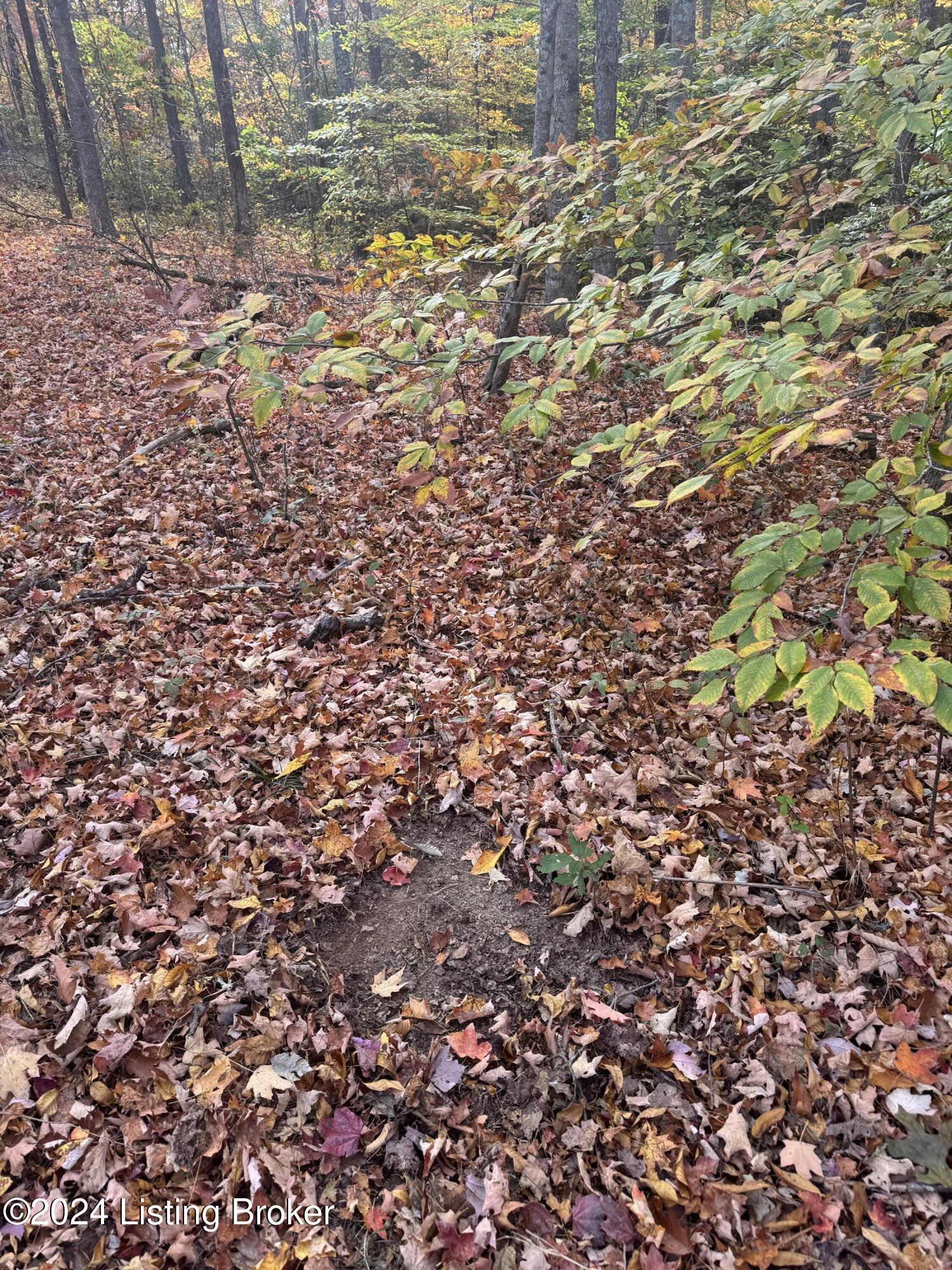 Ditney Ridge Rd, Morehead, Kentucky image 11