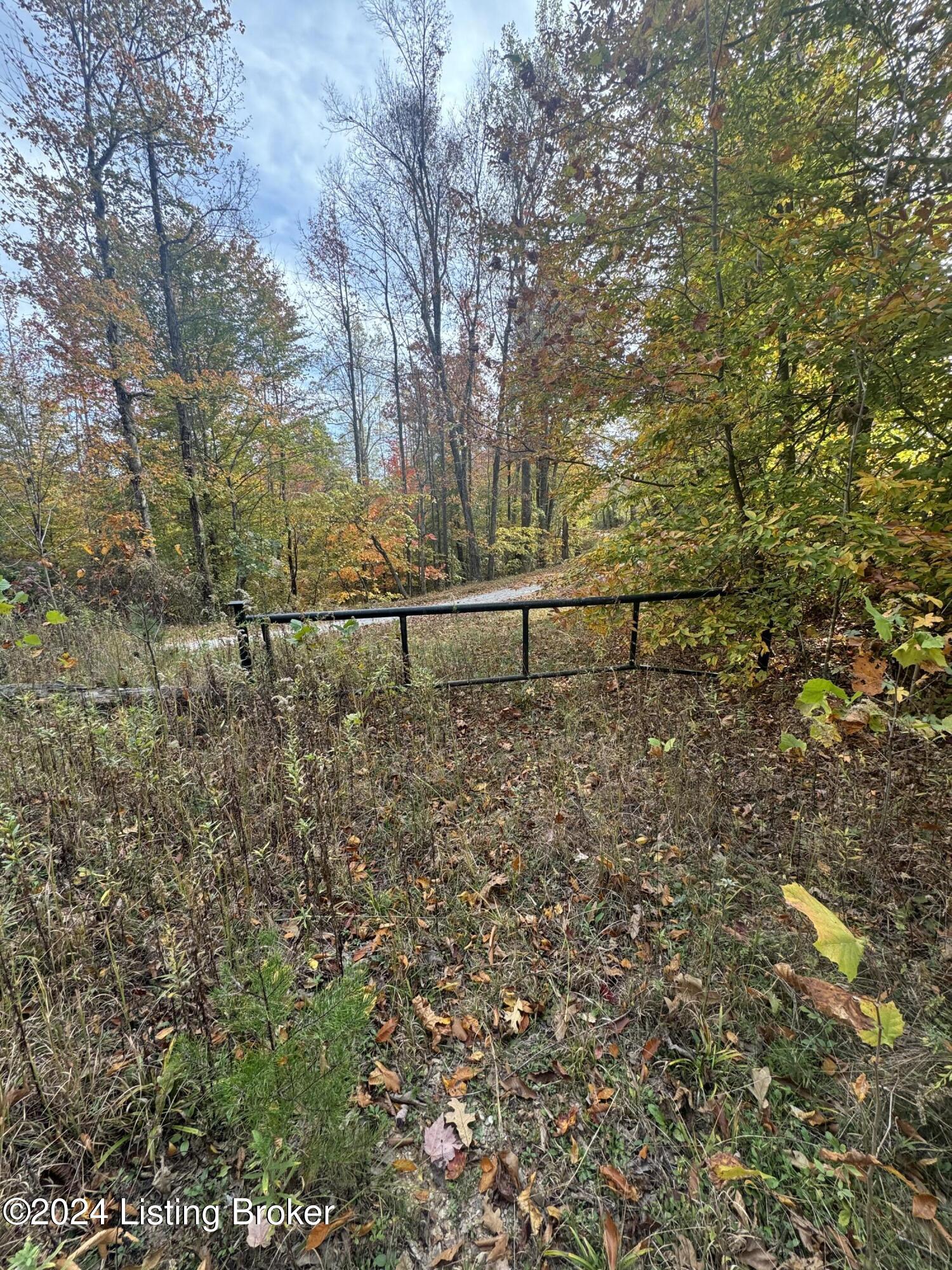 Ditney Ridge Rd, Morehead, Kentucky image 18