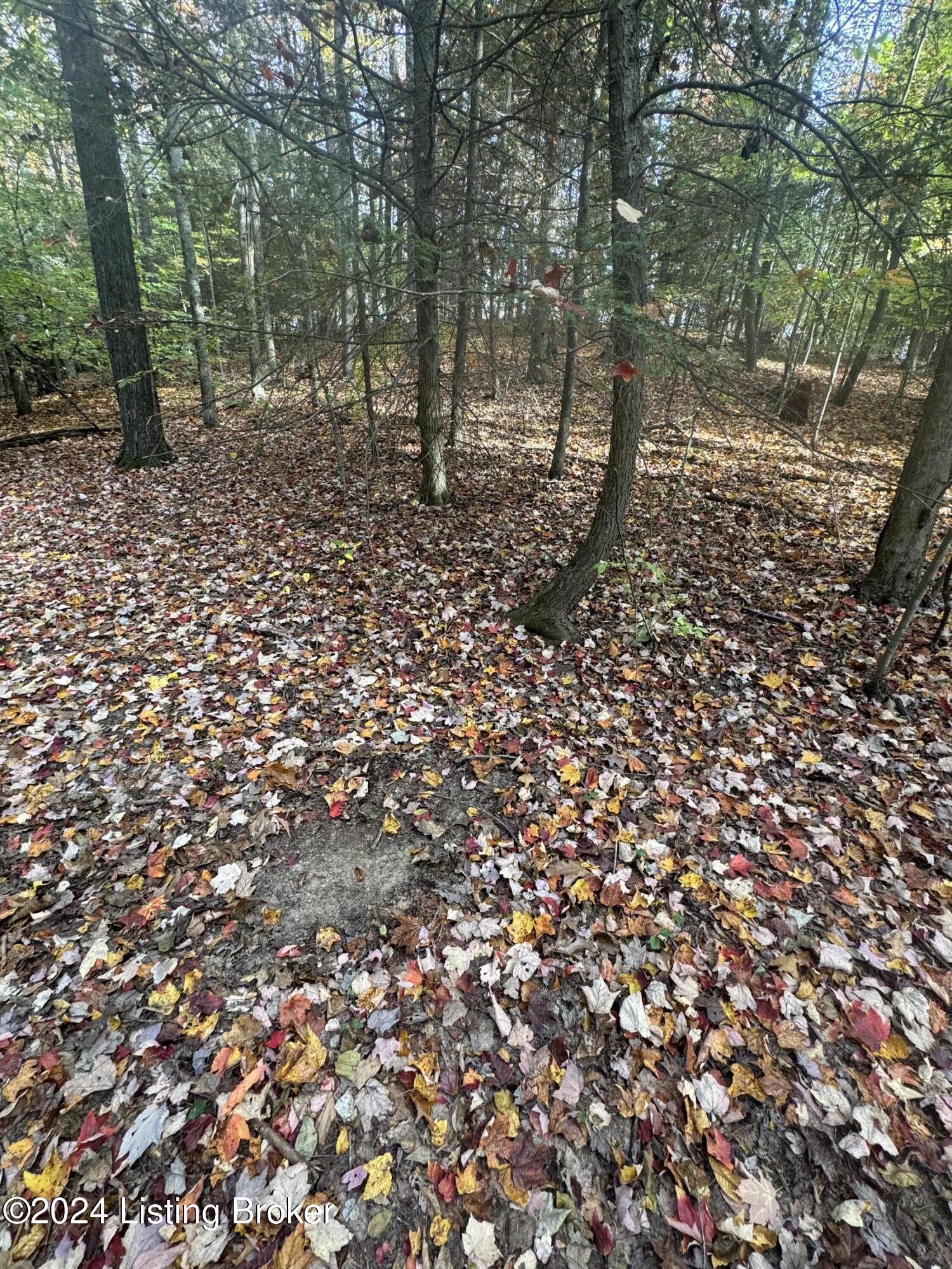 Ditney Ridge Rd, Morehead, Kentucky image 10