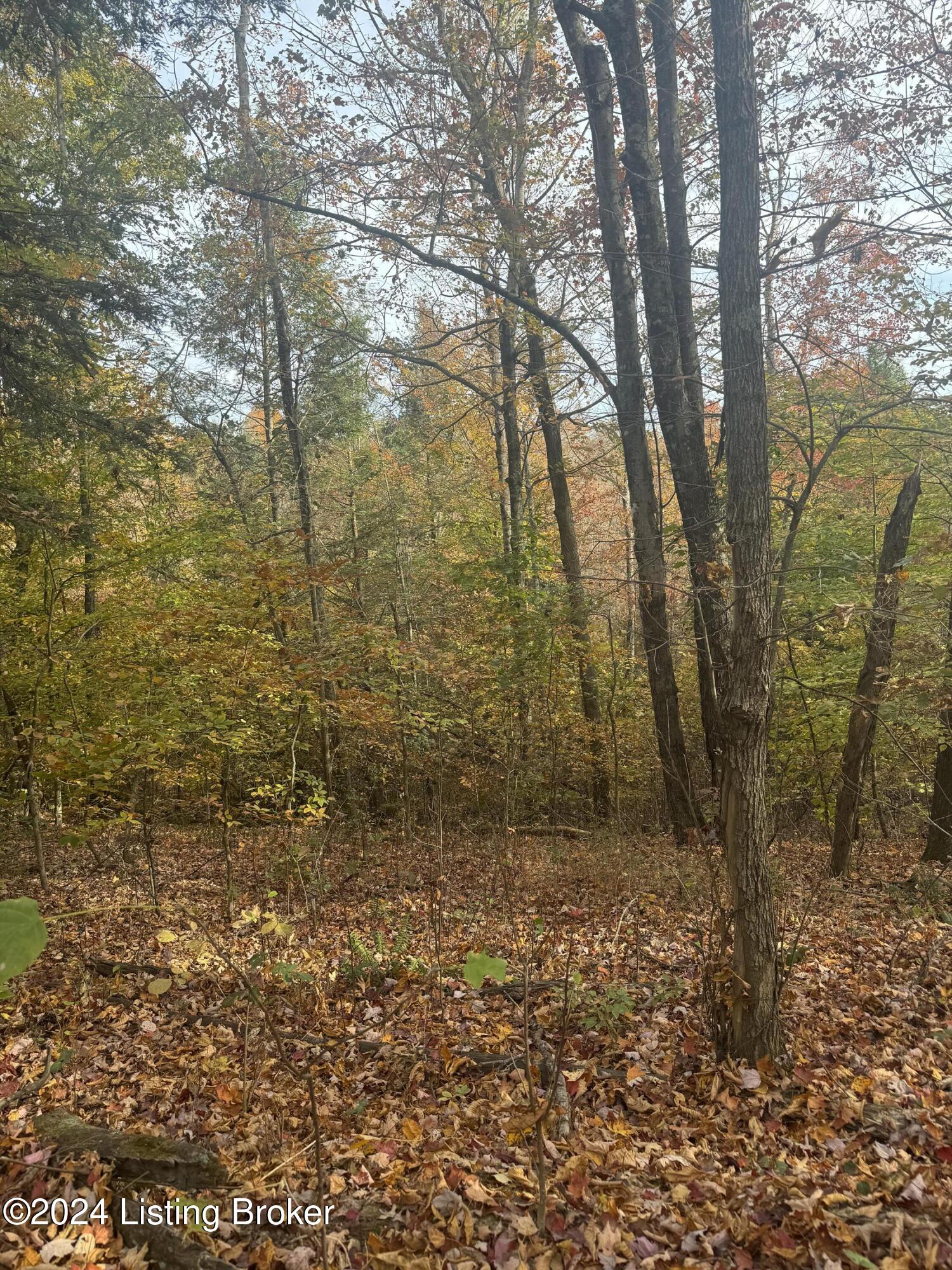 Ditney Ridge Rd, Morehead, Kentucky image 34